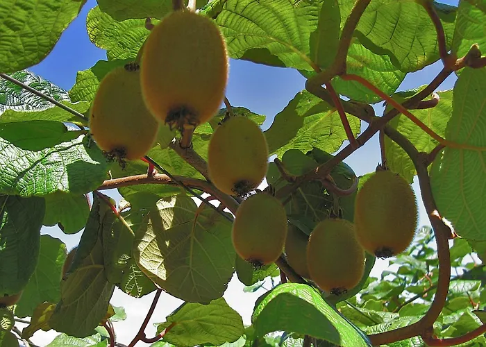 וילה Getaway In *